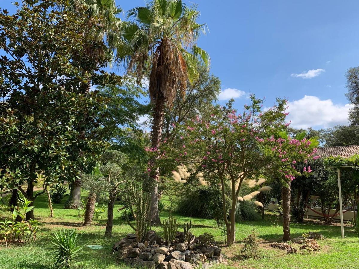 Residence Emilia Santa-Maria-Poggio  Luaran gambar