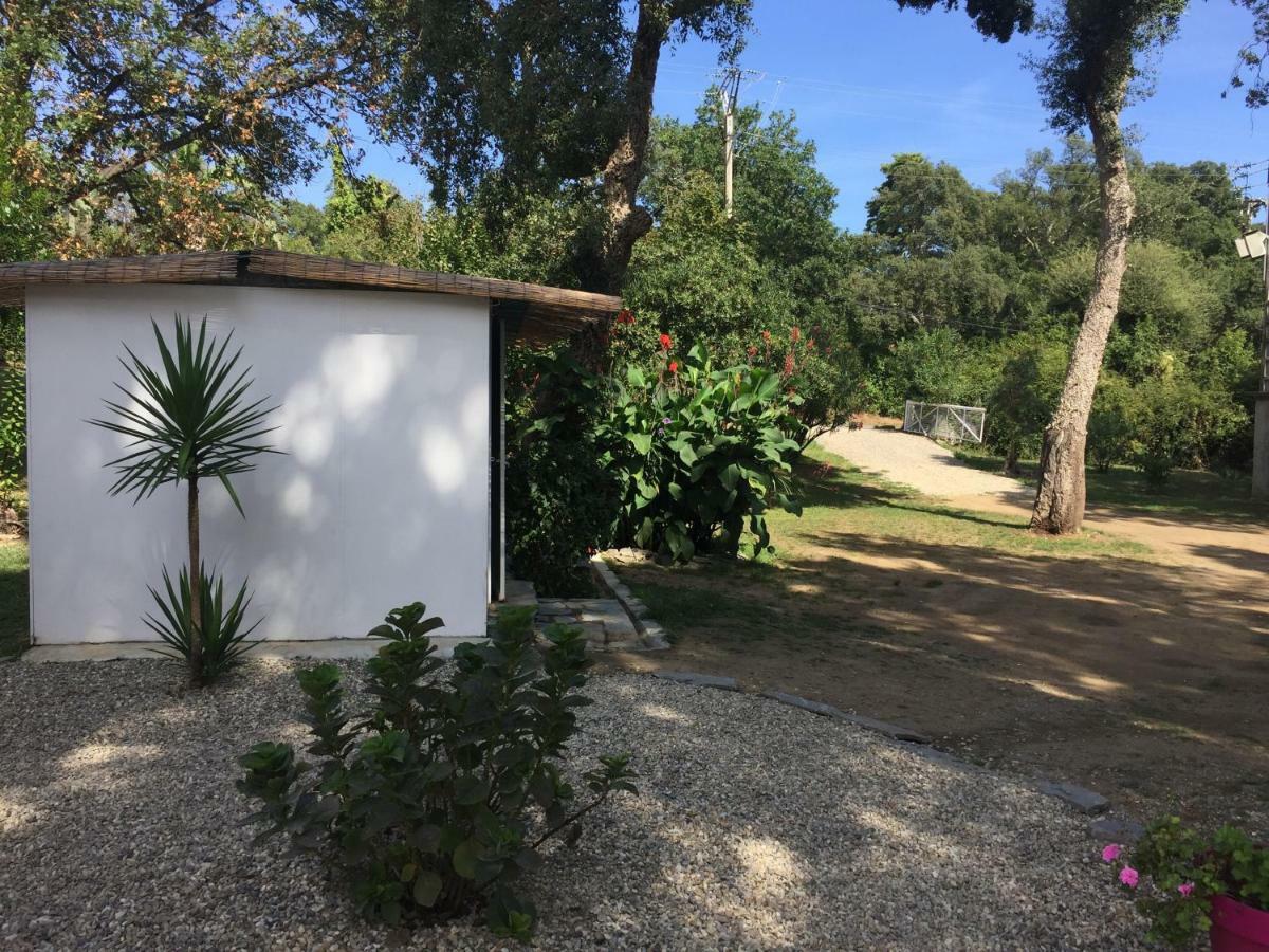 Residence Emilia Santa-Maria-Poggio  Luaran gambar