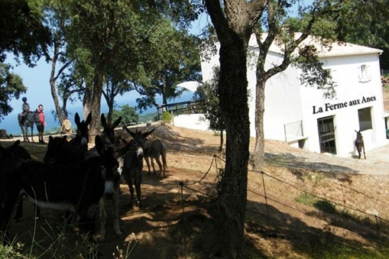 Residence Emilia Santa-Maria-Poggio  Luaran gambar